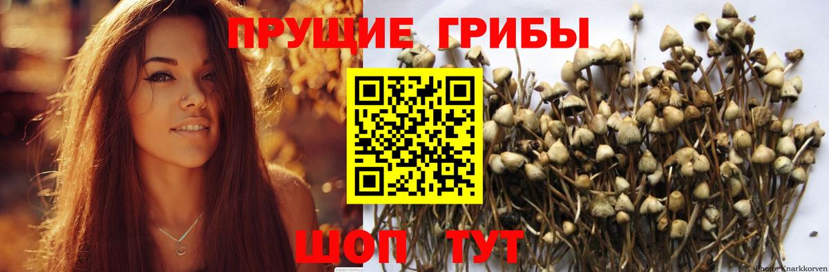 Татарск  Галлюциногенные грибы Magic Shrooms  Вход с VPN 