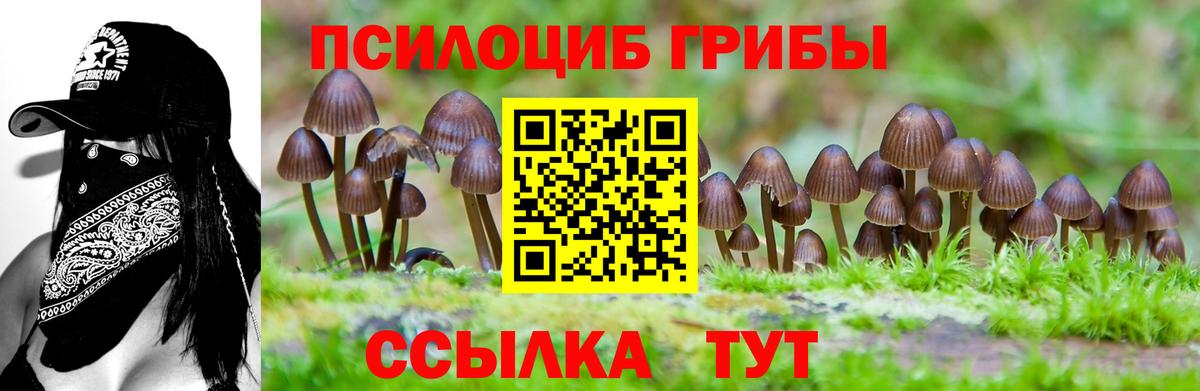 Галлюциногенные грибы мицелий Татарск